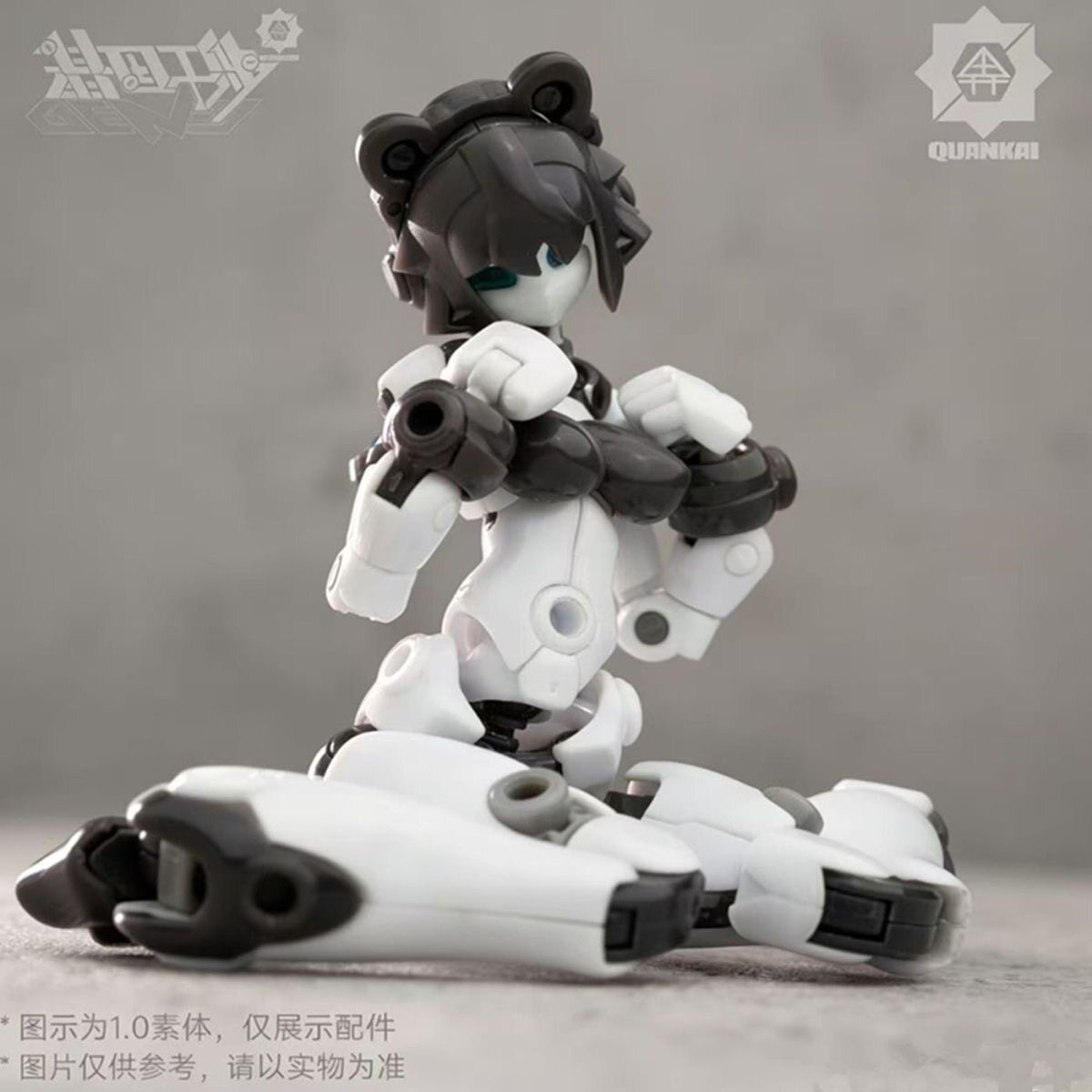 Kit Gene Interference Series Q - Model Kit China recensie en prijs