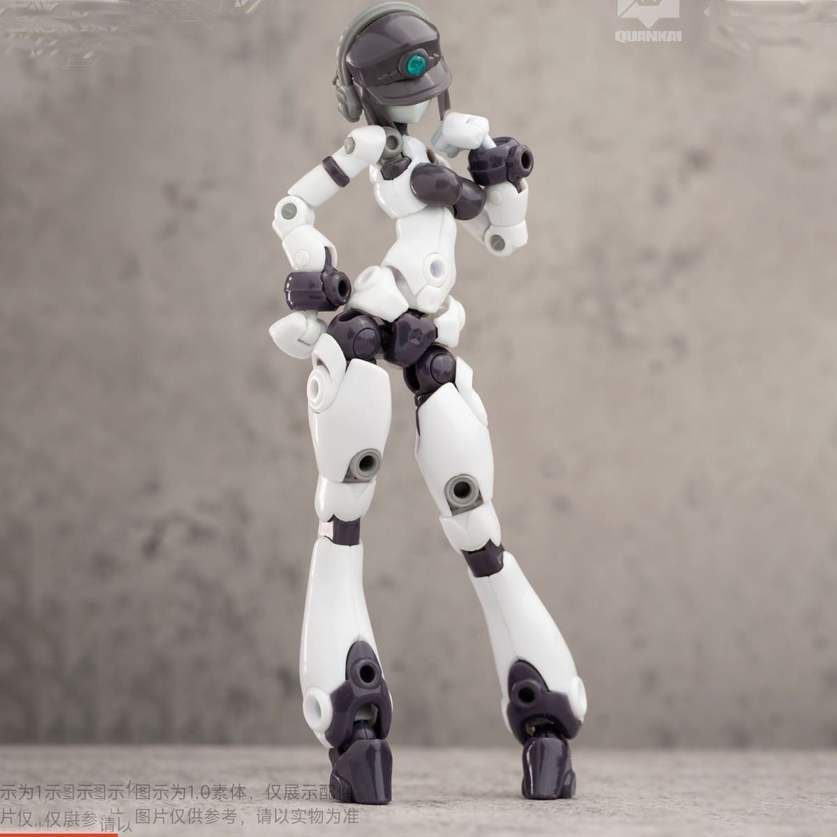 Kit Gene Interference Series Q - Model Kit China recensie en prijs